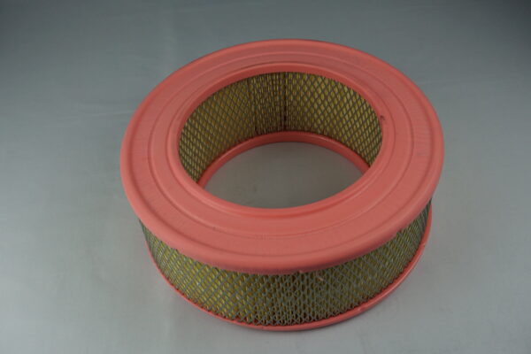 FILTRE A AIR / IDEM A1F029