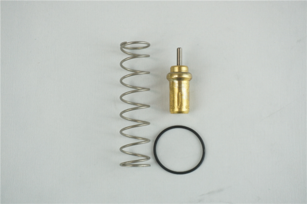 BULBE THERMOSTATIQUE 55°C
