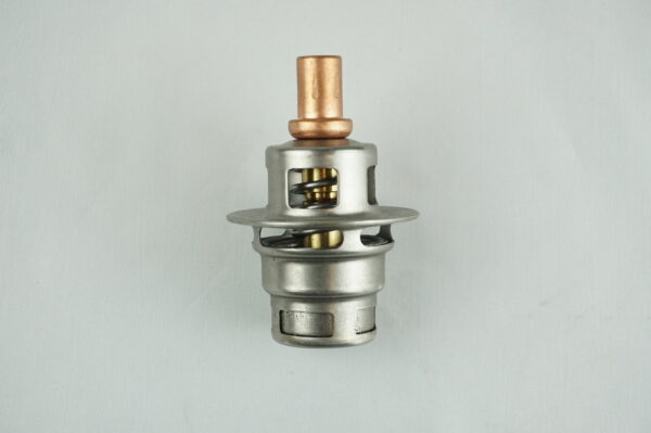 BULBE THERMOSTATIQUE 60°C