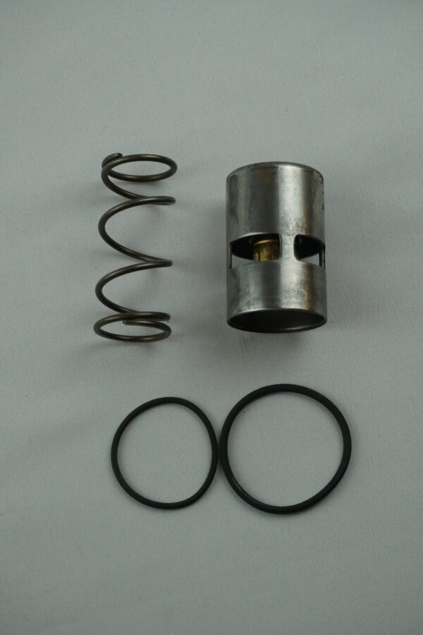 KIT THERMOSTATIQUE 55°C