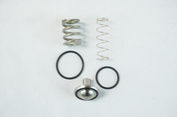 KIT CLAPET VPM G10