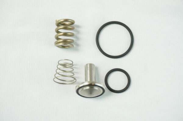KIT CLAPET VPM G25-G25F-G26