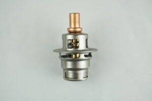 BULBE THERMOSTATIQUE 60°C