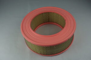 FILTRE A AIR / IDEM A1F029