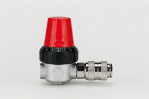 REGULATEUR 1/4" - Racc.Rap. Pmax 8 BAR