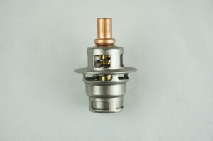 BULBE THERMOSTATIQUE 60°C