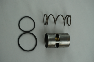 KIT THERMOSTATIQUE 55°C
