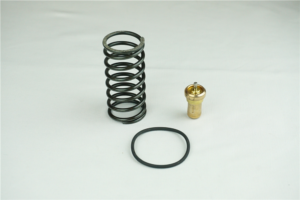 KIT THERMOSTATIQUE VT-VTFT-VT2FT 35-37 / 55°C