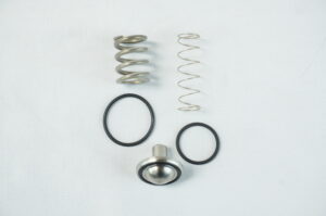 KIT CLAPET VPM G10