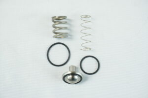 KIT CLAPET VPM G10
